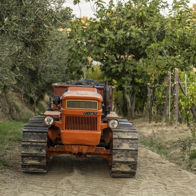 trattore-vigne2 trattore-vigne2